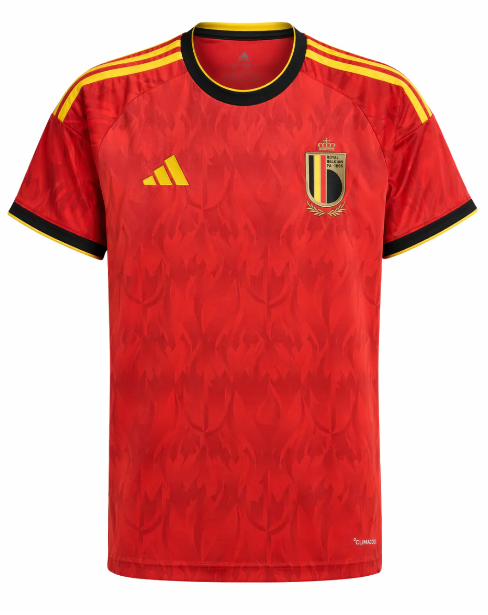 Bélgica 2026 · Local