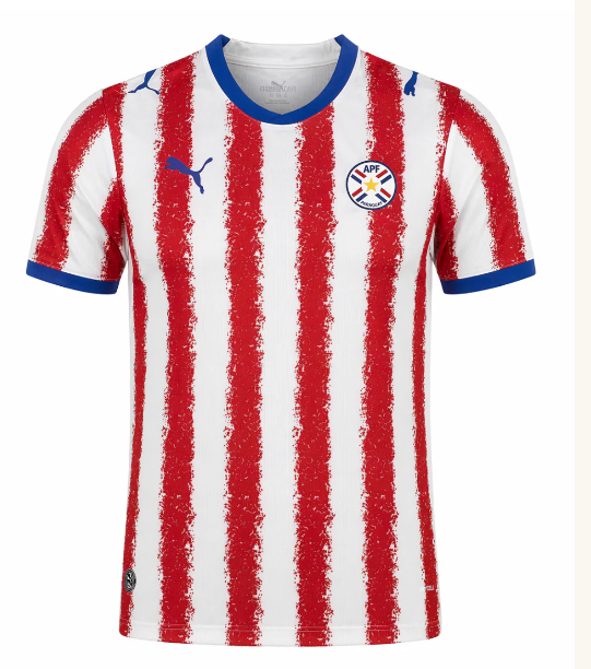 Paraguay 2026 · Local